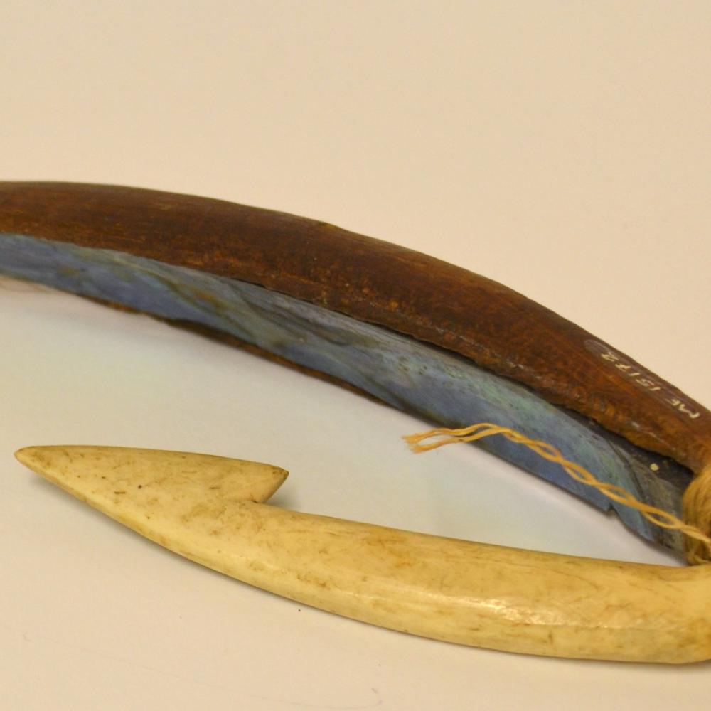 Taonga Māori Fish Hooks Aratoi — Wairarapa Museum of Art and History